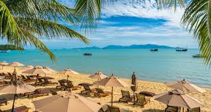 3 days tanzania private mid-range safari 